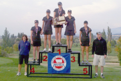 stategolfonstand2