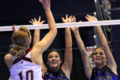 statevb16