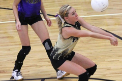 vballlibbyhome10