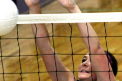 vballlibbyhome14