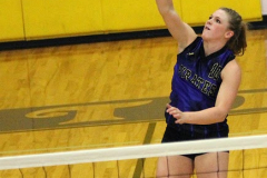 vballlibbyhome16