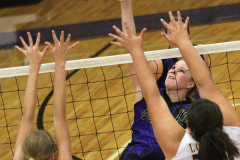 vballlibbyhome18