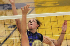 vballlibbyhome22
