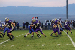 fbcfalls49