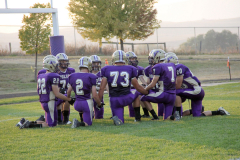 footballcfallshandhold