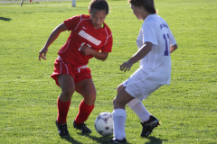 gsoccer02