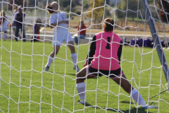 gsoccer29
