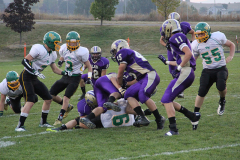 hcfb15