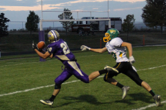 hcfb21