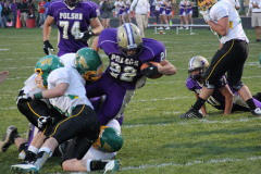 hcfb29