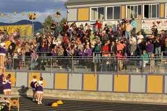 grandstands