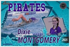 DixieMontgomeryPosterSM