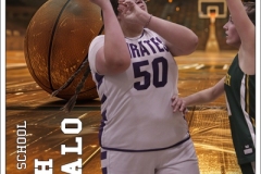 JadeahBuffaloPosterSM