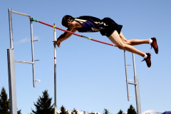 treyfoutypolevault