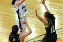 gbbdiv3