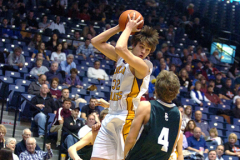 state29