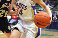 gbballstate8