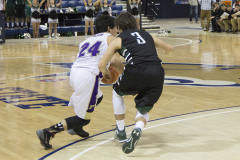 curleydribble